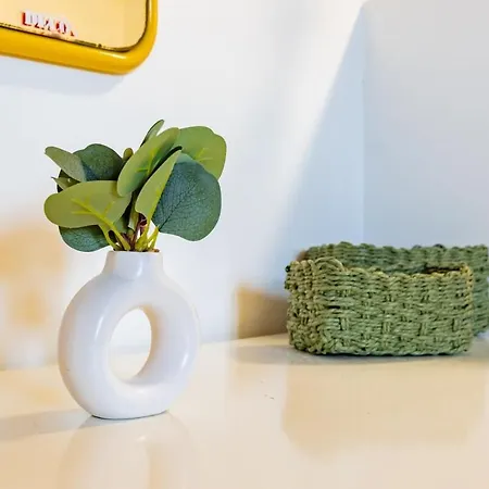 Les Toits De Roquelaine - Bright & Cozy Apartmán Toulouse