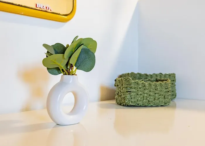 Les Toits De Roquelaine - Bright&cozy Appartement Toulouse